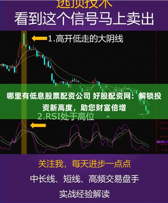 哪里有低息股票配资公司 好股配资网：解锁投资新高度，助您财富倍增