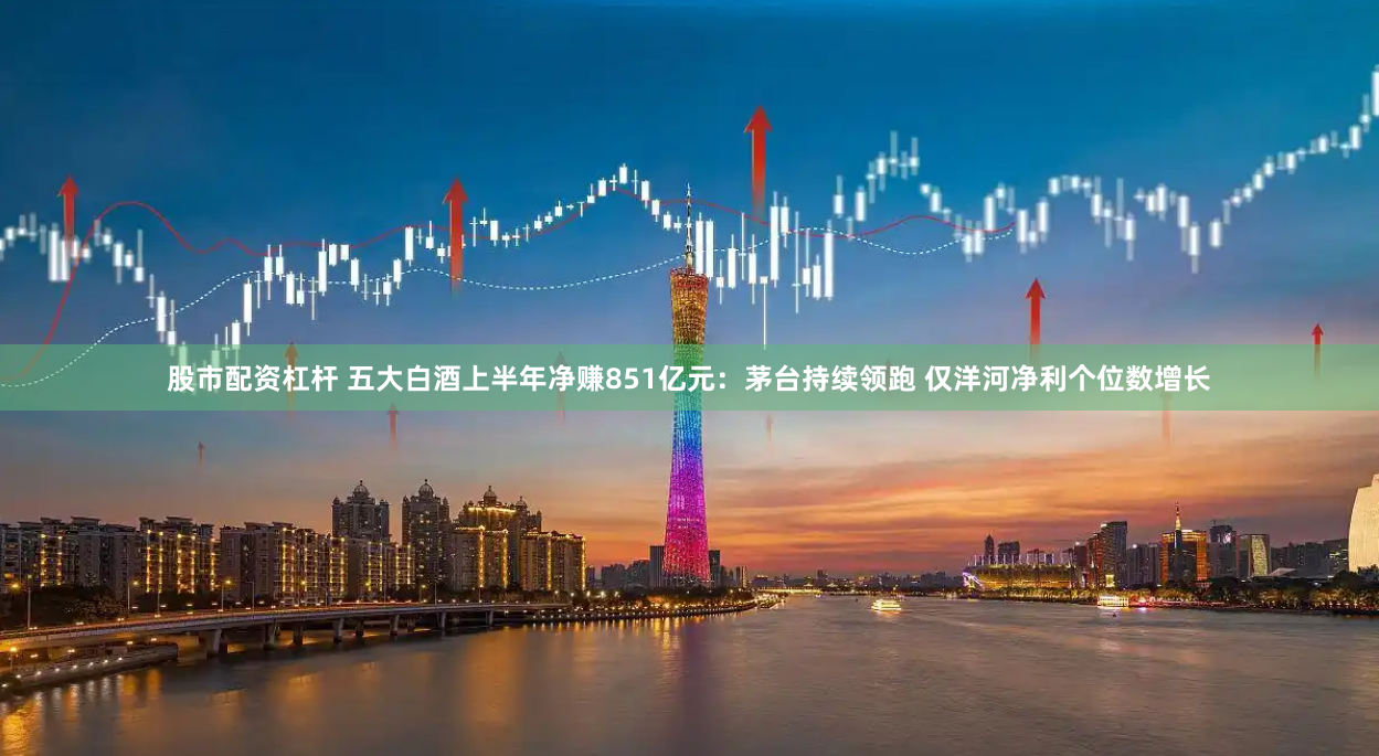 股市配资杠杆 五大白酒上半年净赚851亿元：茅台持续领跑 仅洋河净利个位数增长