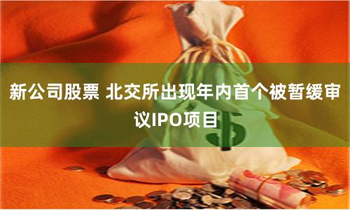新公司股票 北交所出现年内首个被暂缓审议IPO项目