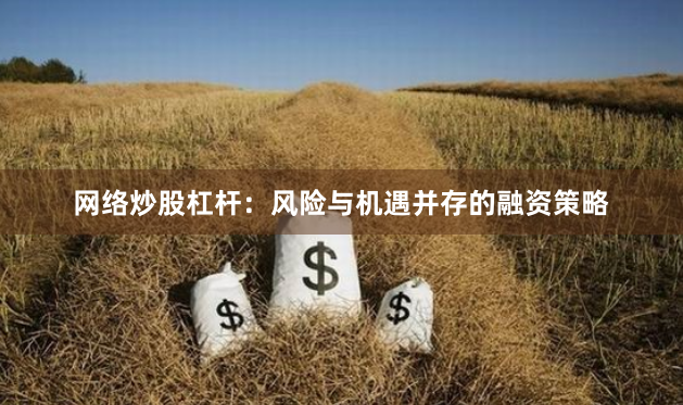 网络炒股杠杆：风险与机遇并存的融资策略