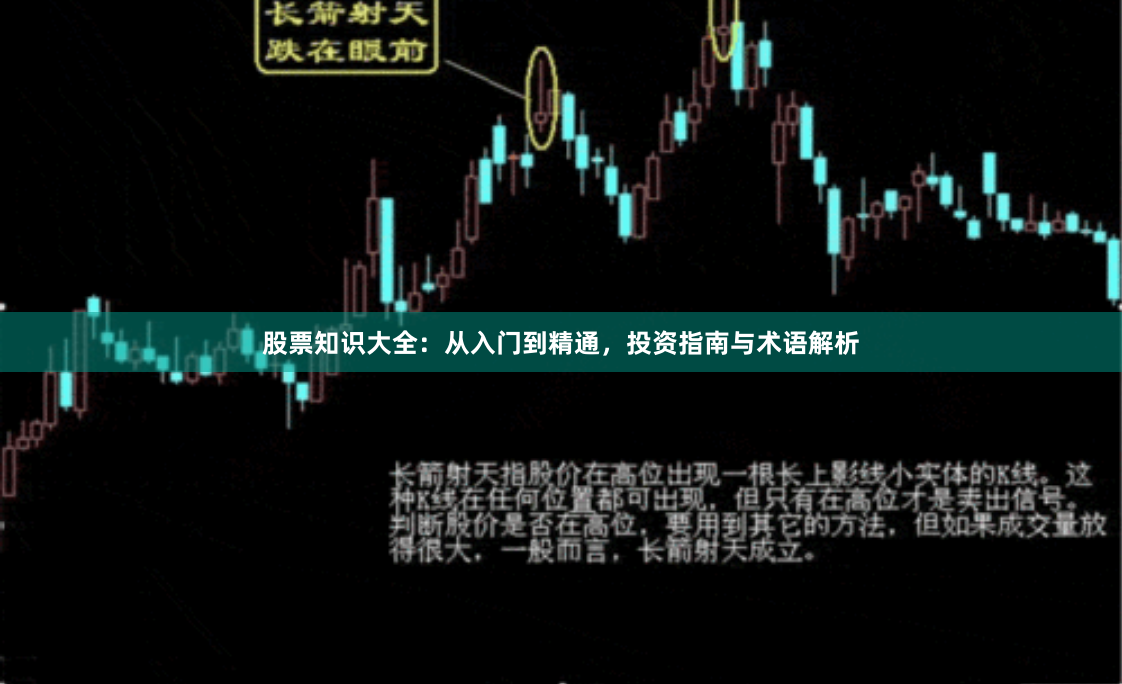 股票知识大全：从入门到精通，投资指南与术语解析